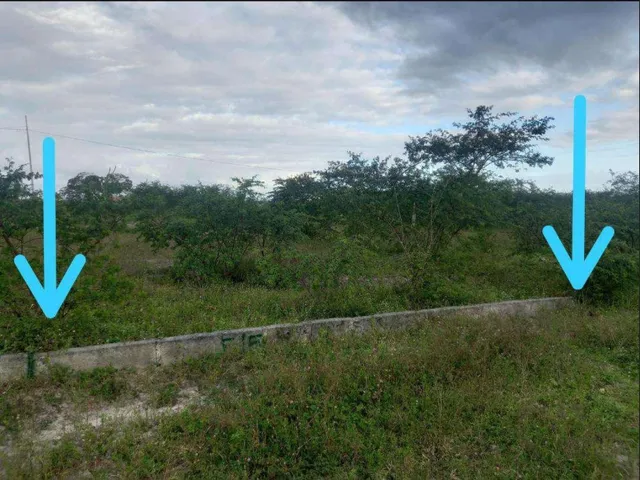 Imagem 7: Terreno Urbano em Simão Dias, Sergipe