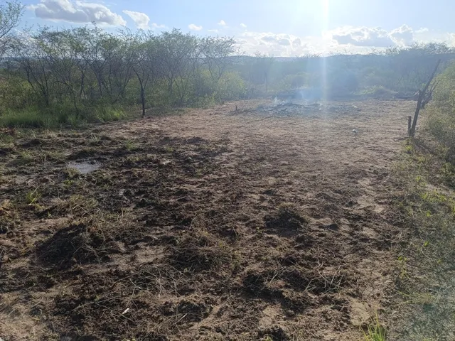 Imagem 2: Terreno Urbano em Simão Dias, Sergipe
