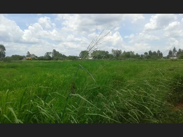 Imagem 3: Sitio a Tranquilidade no Campo