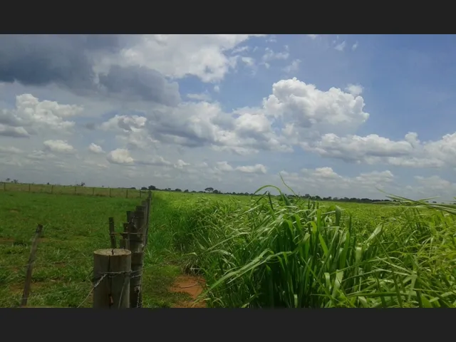 Imagem: Sitio