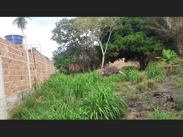 Imagem: Lotes em Itacimirim
