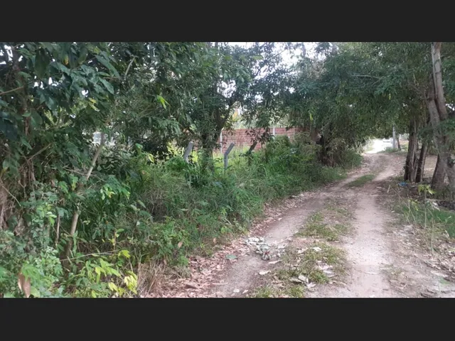 Imagem 2: Lotes em Itacimirim