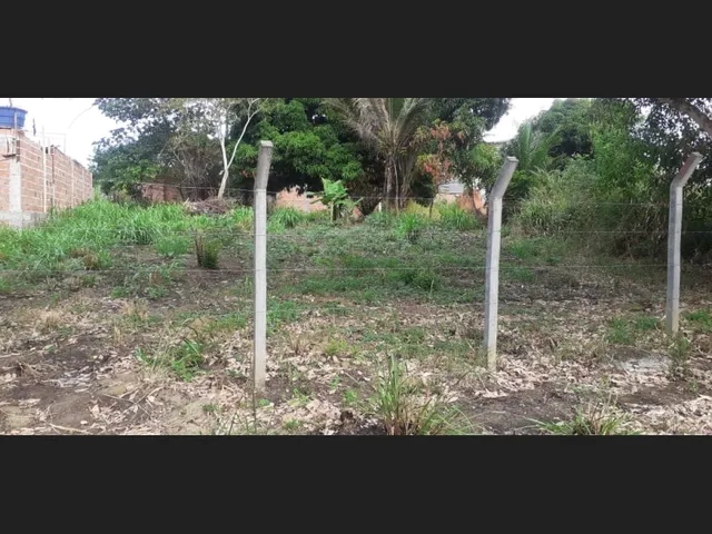 Imagem 3: Lotes em Itacimirim