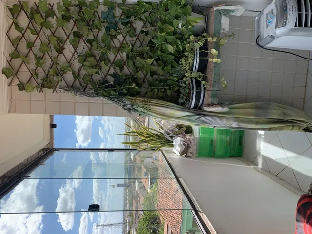 Imagem 4: Apartamento Mobiliado no Catolé