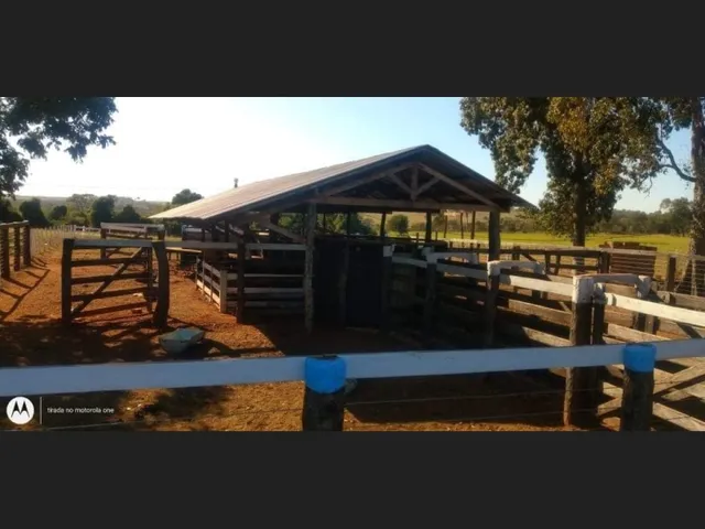 Imagem: Fazenda de 100 Hectares em Dois Irmãos