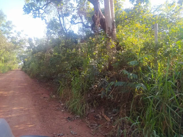 Imagem 7: Chácara de 2.000 M2 Próximo a Iveco em Sete Lagoas Somente 8Km do Asfalto