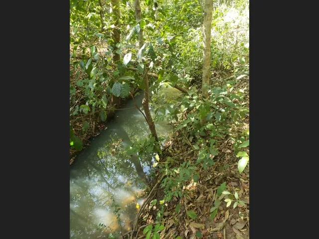 Imagem: Chácara a Venda Próxima a Pousada Cabanas