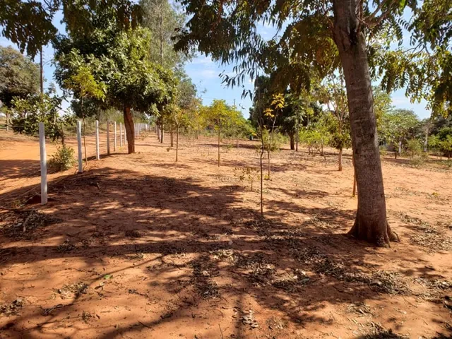 Imagem 6: Chácara a Venda Próxima a Pousada Cabanas do Pontal
