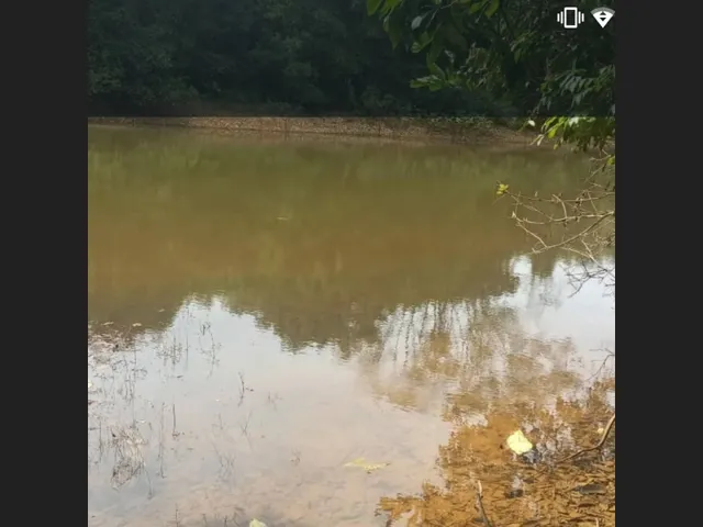 Imagem: Fazenda de 124 Ha em Caetanópolis