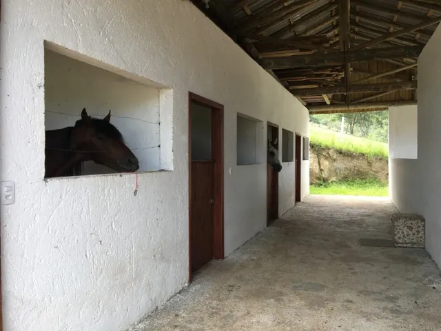 Imagem 10: Sitio À Venda em Florianópolis no Bairro Ratones