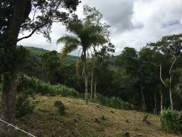 Imagem 5: Sitio À Venda em Florianópolis no Bairro Ratones