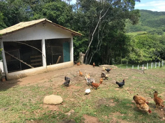 Imagem 11: Sitio À Venda em Florianópolis no Bairro Ratones