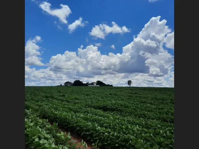 Imagem: Fazenda com Dupla Aptidão no Município