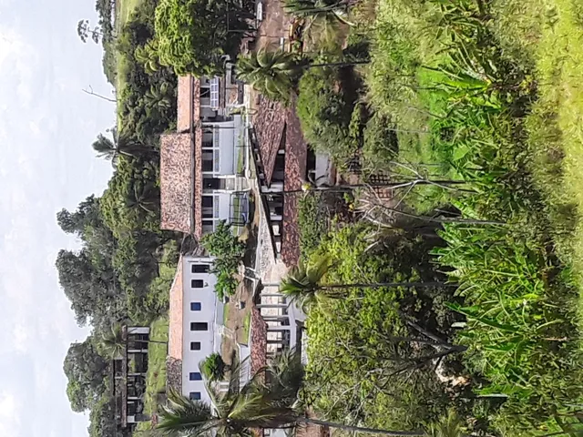 Imagem: Fazenda/Engenho