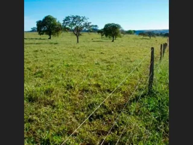 Imagem: Sitio de 10 Mil Mt em Carmipolis de Minas