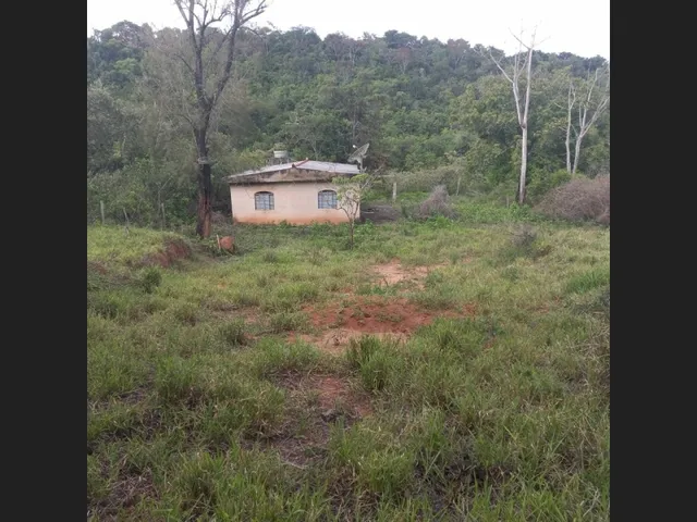 Imagem 4: Sitio de 10 Mil Mt em Carmipolis de Minas