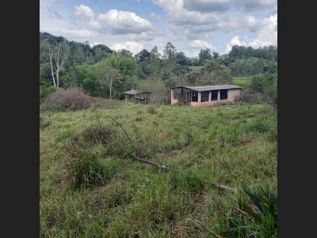 Imagem 2: Sitio de 10 Mil Mt em Carmipolis de Minas