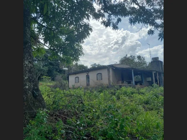 Imagem 10: Sitio de 10 Mil Mt em Carmipolis de Minas