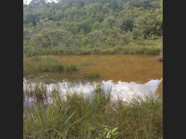 Imagem 3: Sitio de 10 Mil Mt em Carmipolis de Minas