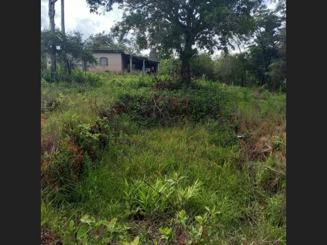 Imagem 6: Sitio de 10 Mil Mt em Carmipolis de Minas