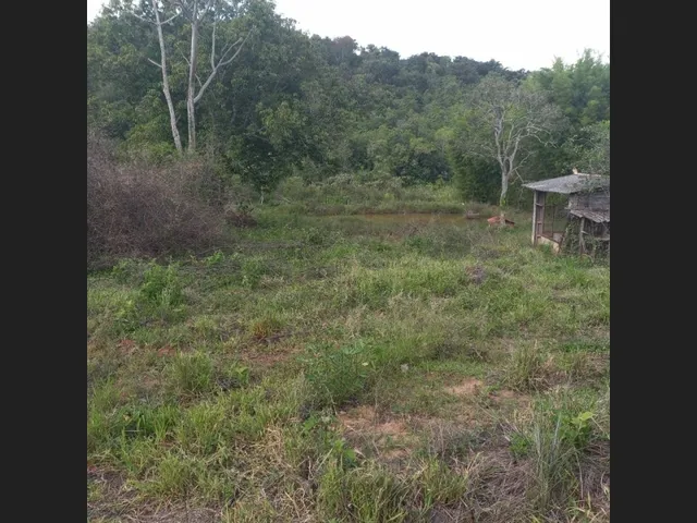 Imagem 7: Sitio de 10 Mil Mt em Carmipolis de Minas