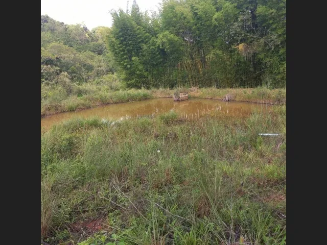 Imagem 8: Sitio de 10 Mil Mt em Carmipolis de Minas