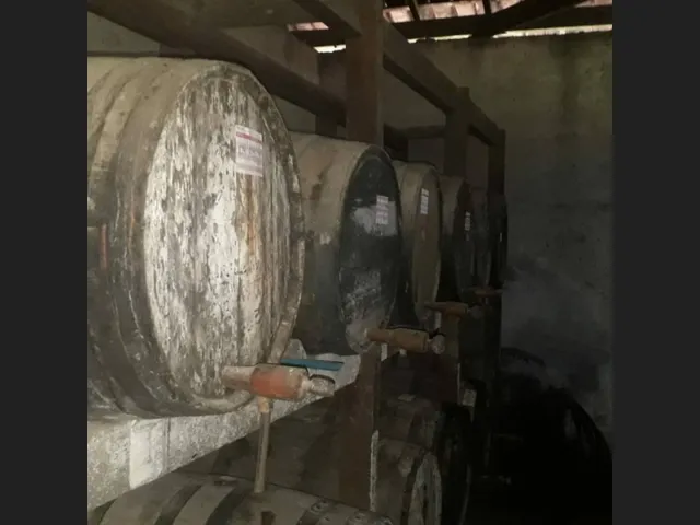Imagem 6: Fazenda de 25 Ha com Alambique em Caetanópolis Mg