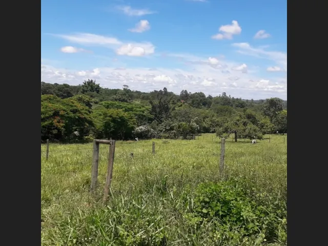 Imagem 14: Fazenda de 25 Ha com Alambique em Caetanópolis Mg