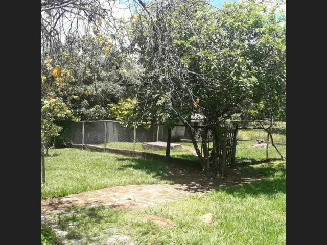 Imagem 11: Fazenda de 25 Ha com Alambique em Caetanópolis Mg