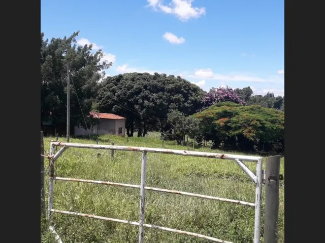 Imagem 7: Fazenda de 25 Ha com Alambique em Caetanópolis Mg