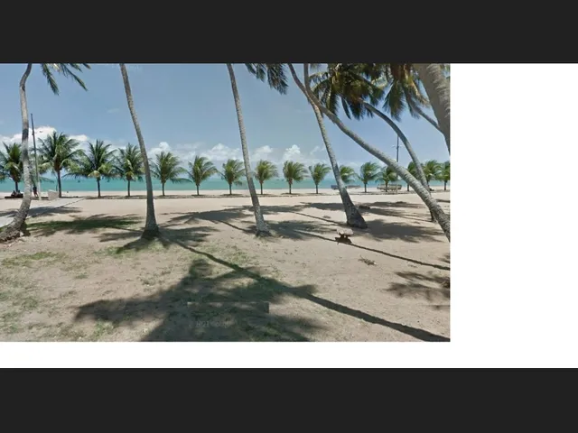 Imagem: Terreno Beira Mar Japaratinga Alagoas Caribe