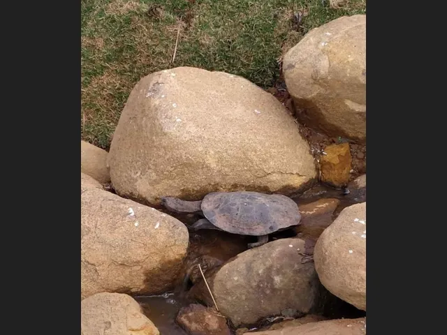 Imagem 6: Chacara a Venda em Minas Gerais - Aproveite !!! com 2450M2