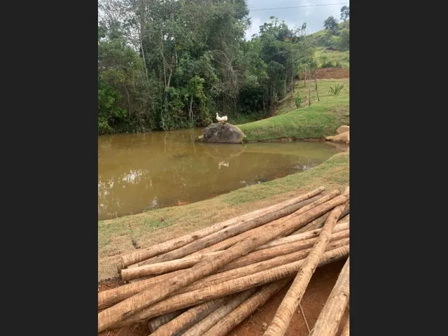 Imagem 4: Chacara a Venda em Minas Gerais - Aproveite !!! com 2450M2