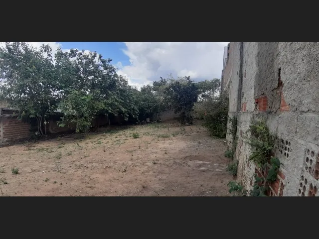 Imagem 9: Terreno Ao Lado do Centro da Cidade de Garanhuns-Pe