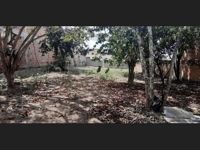 Imagem 3: Terreno Ao Lado do Centro da Cidade de Garanhuns-Pe