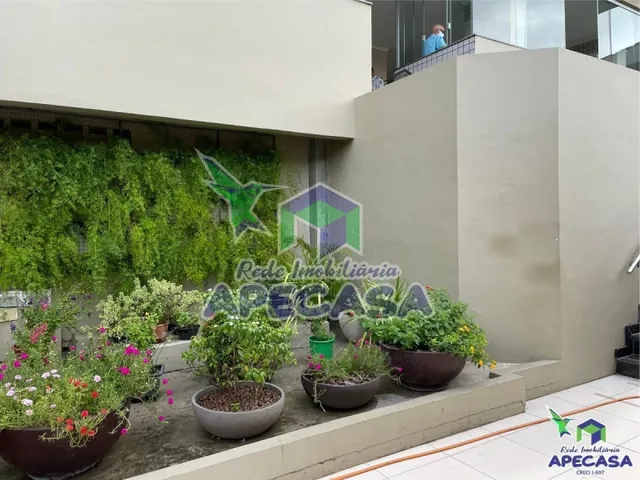 Imagem 12: Lindo Apartamento no Ed.procópio Ferreira