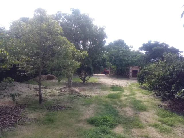 Imagem 11: Sitio Povoado Choca Casa Mobiliada