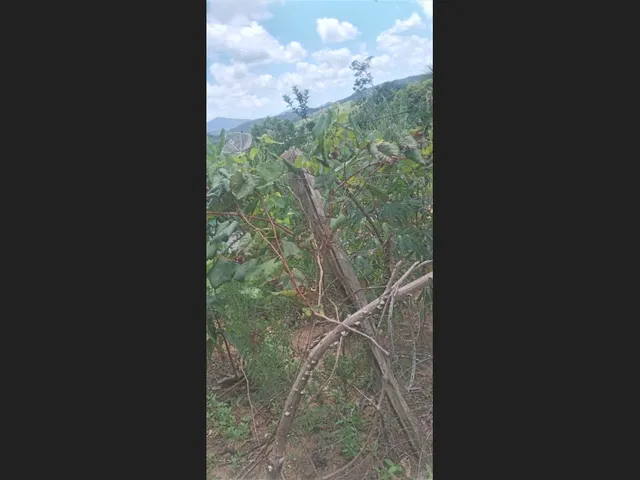 Imagem 2: Vende-Se Sítio Próximo a Cachoeira da Roda D&Amp;Amp;Apos;Água e Três Salto em