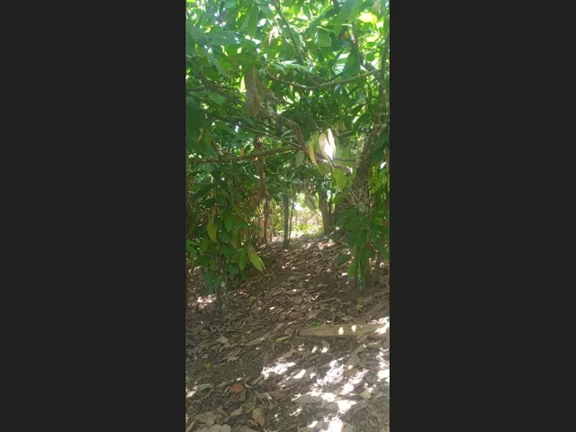 Imagem 3: Vende-Se Sítio Próximo a Cachoeira da Roda D&Amp;Amp;Apos;Água e Três Salto em