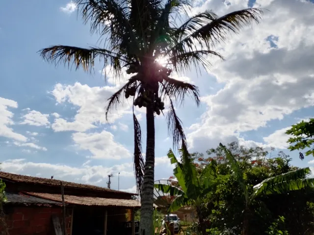 Imagem 15: Sítio com Casa em Ibiapina-Ce