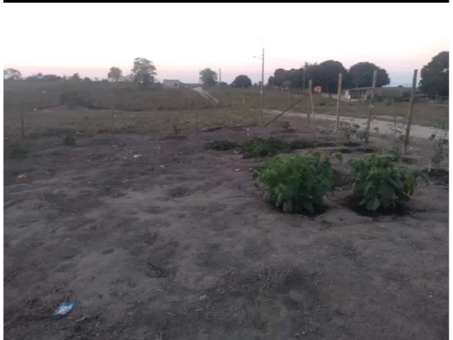 Imagem: Chácara com Casa
