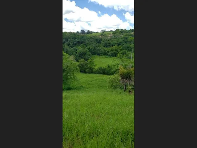 Imagem: Fazenda em Pedrão-Ba