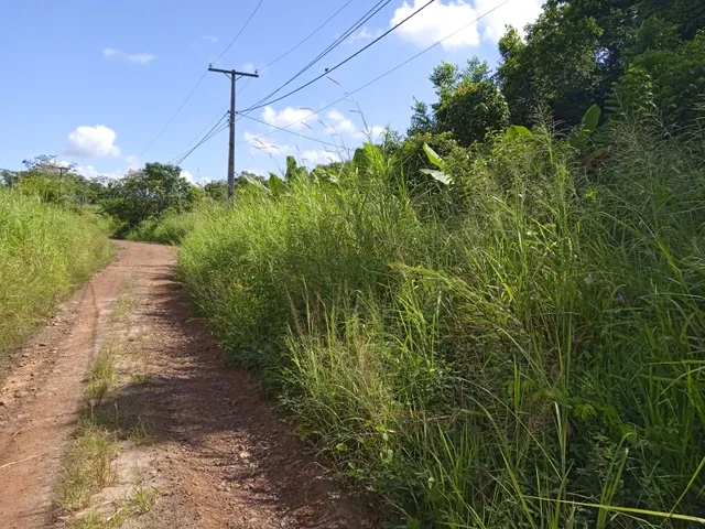 Imagem 5: Vendo Sitio com 2,5 Tarefas e Nascente em Catu - Ba