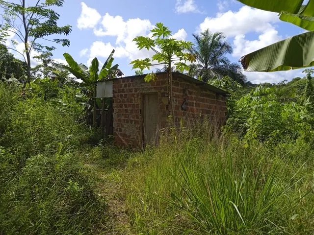 Imagem 14: Vendo Sitio com 2,5 Tarefas e Nascente em Catu - Ba