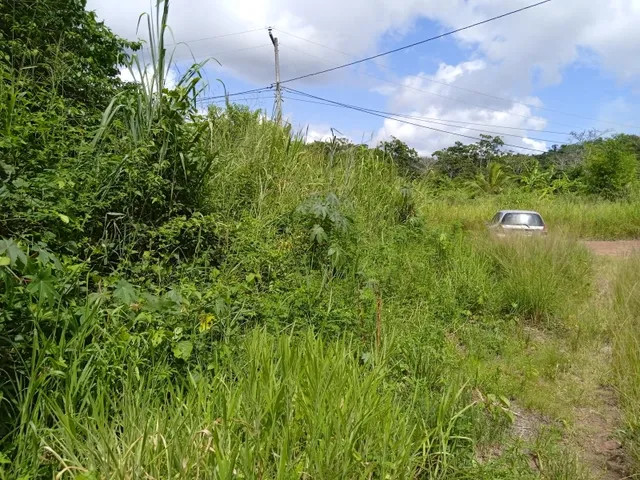 Imagem 11: Vendo Sitio com 2,5 Tarefas e Nascente em Catu - Ba
