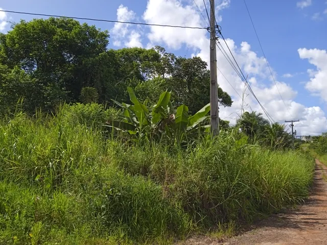 Imagem 6: Vendo Sitio com 2,5 Tarefas e Nascente em Catu - Ba