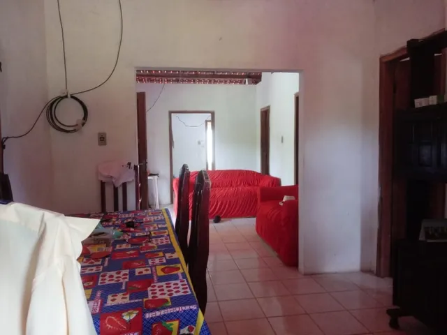 Imagem 16: Vendo Sitio em Catu com Casa 2,5 Tarefas