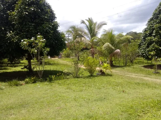 Imagem 10: Vendo Sitio em Catu com Casa 2,5 Tarefas