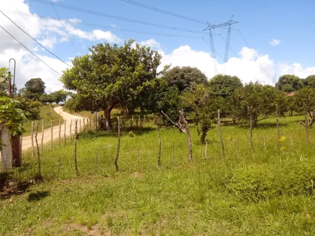 Imagem 15: Vendo Sitio em Catu com Casa 2,5 Tarefas