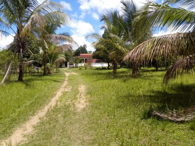 Imagem 13: Vendo Sitio em Catu com Casa 2,5 Tarefas